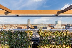 Pastoor Petersstraat 172-22, 5612 LW Eindhoven - 20251117, Pastoor Petersstraat 170-34, Eindhoven, Huis-o-Theek (40 of 52).jpg